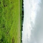 Land for sale in Dewas