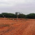 Plot for sale in Tiruchirappalli