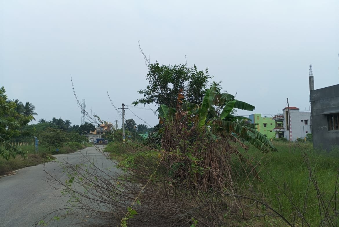 Plot for sale in Thirupachur