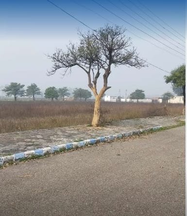 Plot for sale in Mithapur