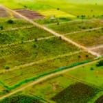 Plots for Sale in Nagalgidda