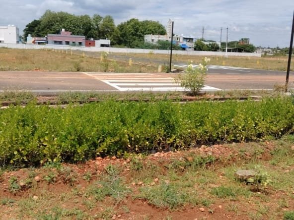 Land for Sale in Samayanallur Madurai