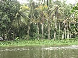 Kadapara